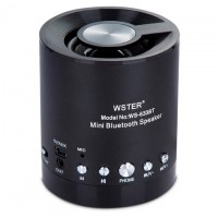 Портативная колонка WSTER WS-633BT черная