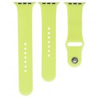 Ремешок Apple Watch Band Silicone Two-Piece 42mm 33, светло-зеленый