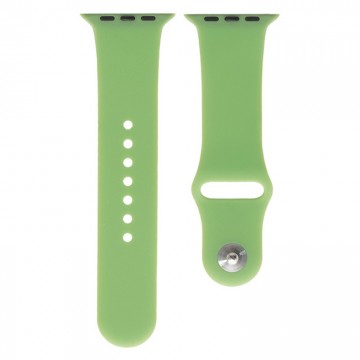 Ремешок Apple Watch Band Silicone One-Piece 38mm 20, мятный в Одессе