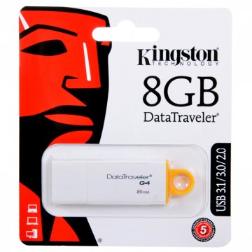 USB Флешка 8GB Kingston DTI G4 белая в Одессе