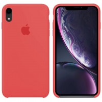 Чехол Silicone Case Original iPhone XR (N52)