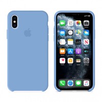 Чехол Silicone Case Original iPhone X, XS №53 (Chrysanthemum) (N53)