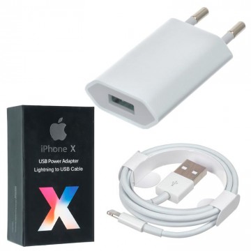 Сетевое зарядное устройство iPhone X 2in1 MD814CH A Type 4G Lightning original в Одессе