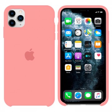 Чехол Silicone Case Original iPhone 12, 12 Pro №27 (Begonia) (N27) в Одессе